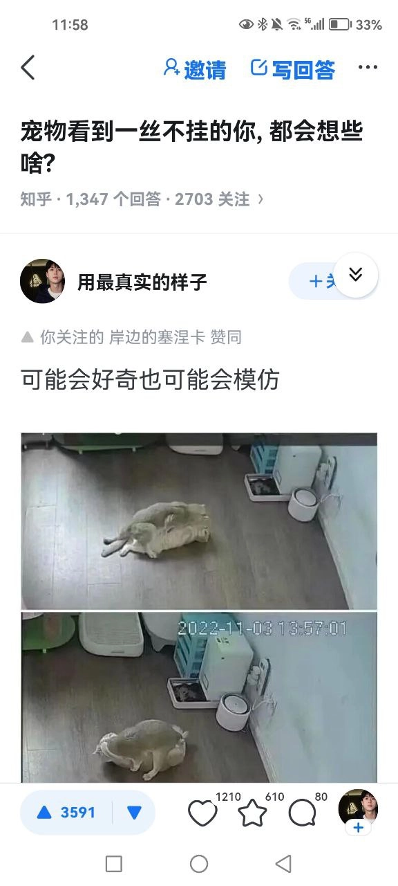 网站