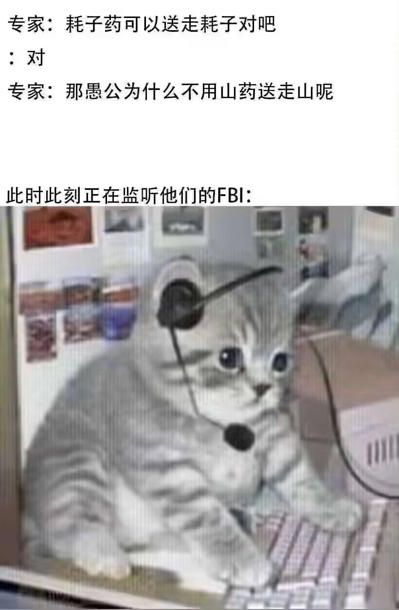 老鼠