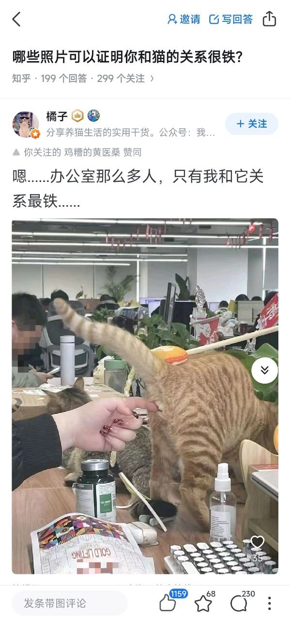 网站