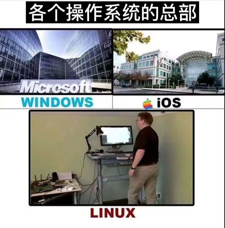 网站