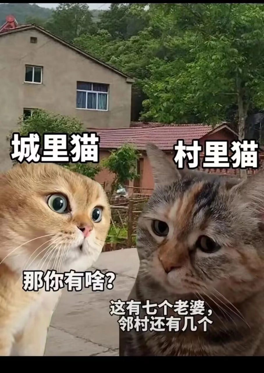 标签