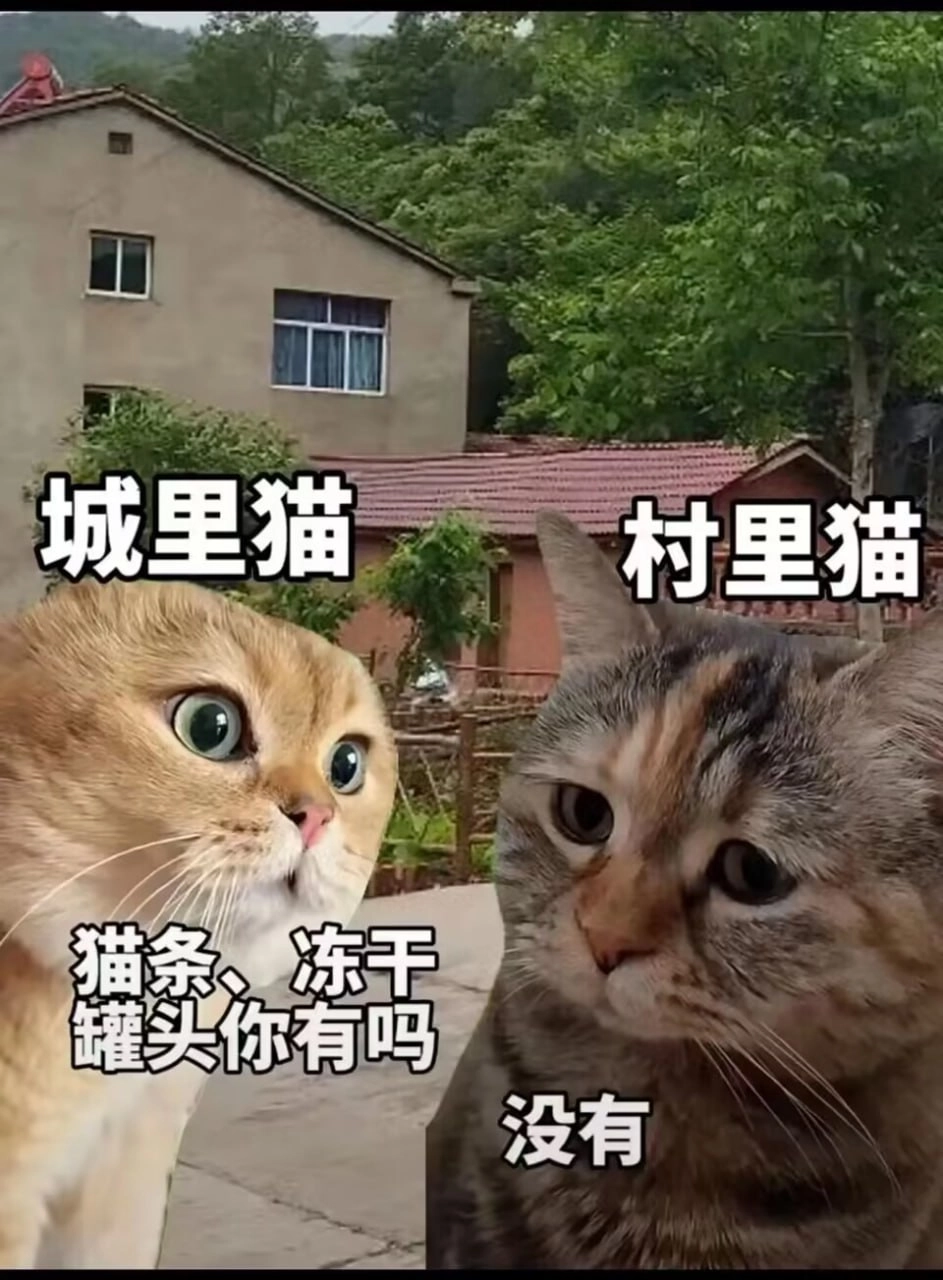 标签