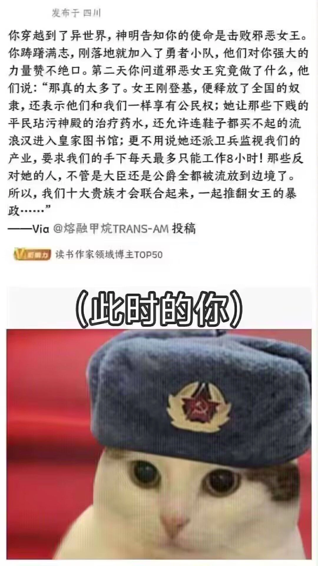 网站