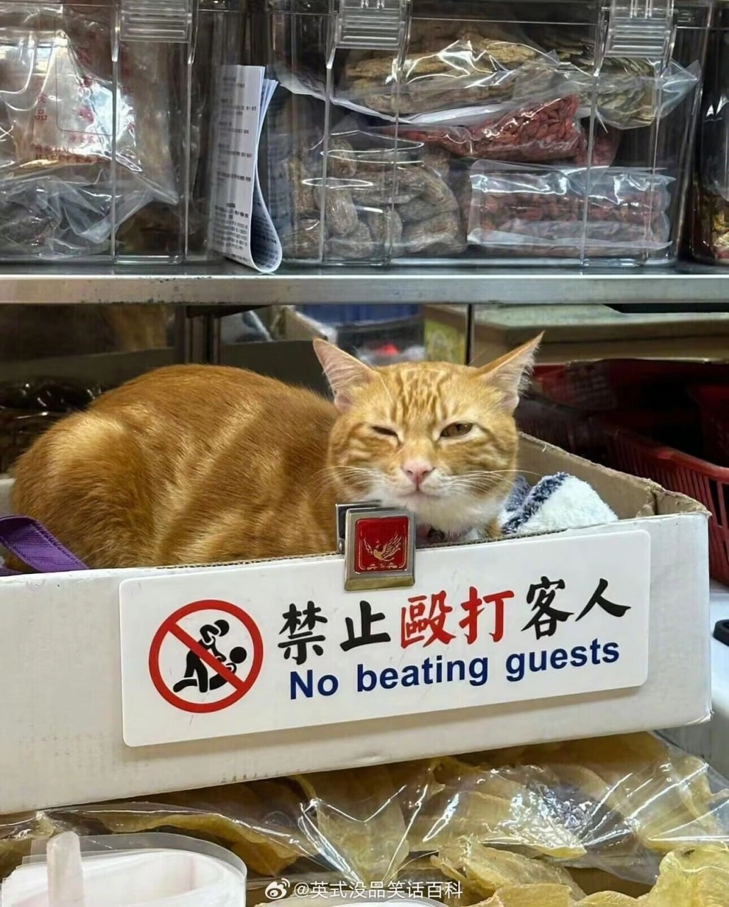 美食店