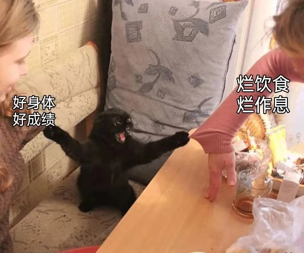 黑猩猩