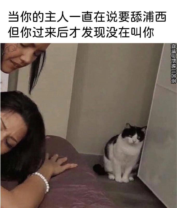 卡片