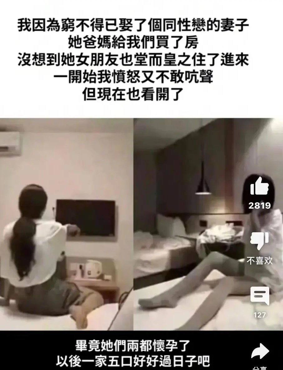 网站