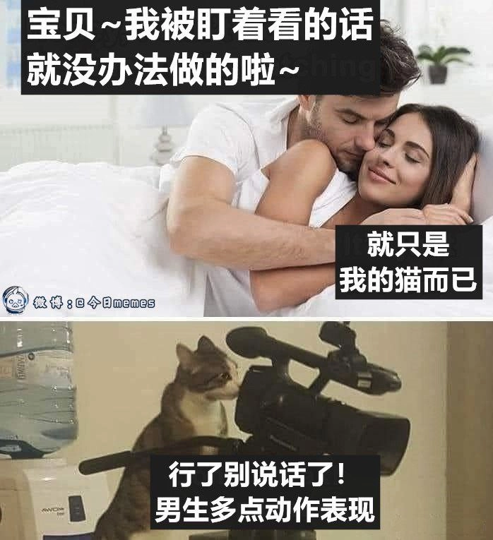 网站