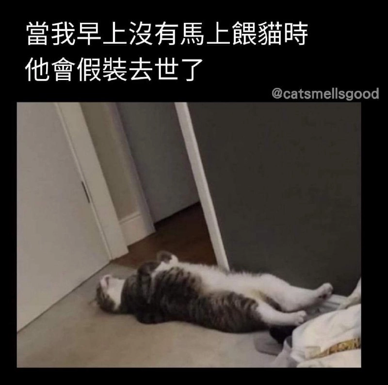 标签