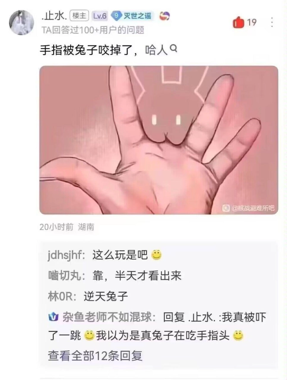 网站