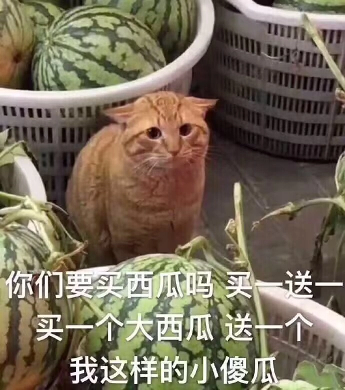 篮球购物