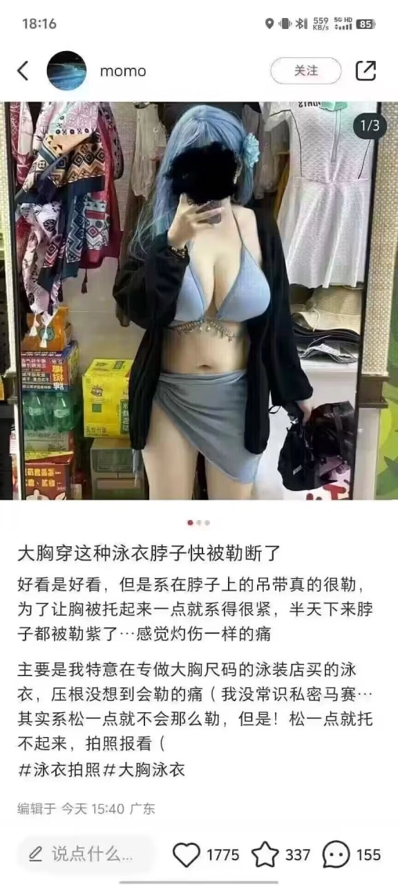 网站