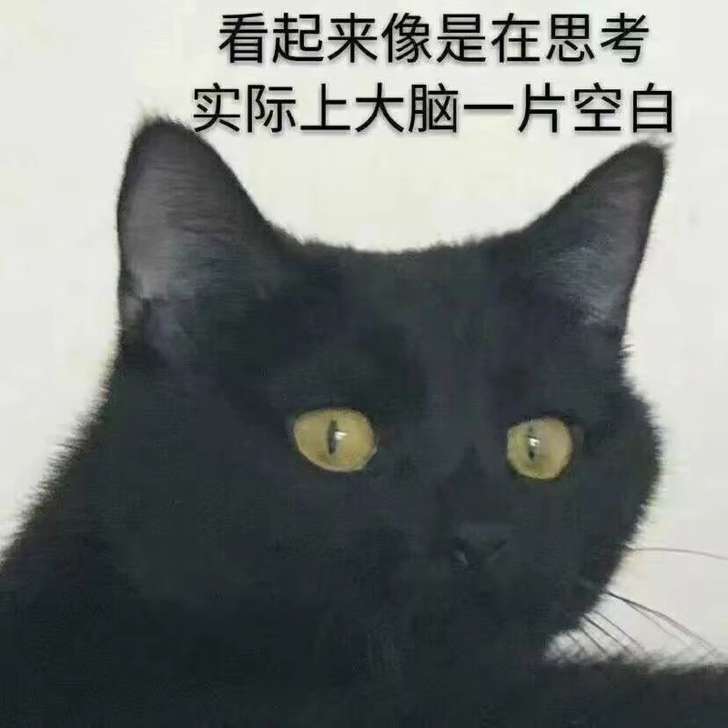 埃及猫