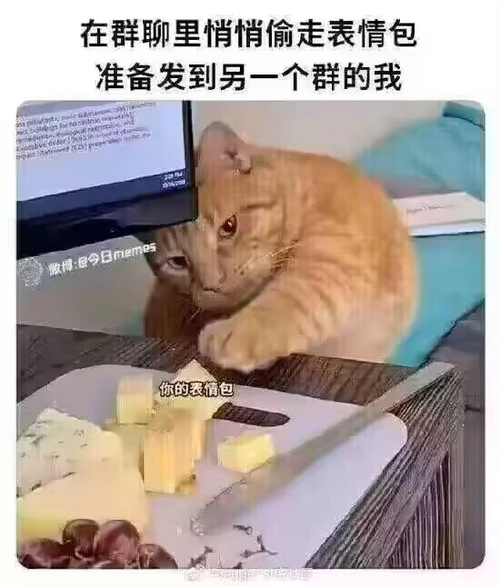 网站