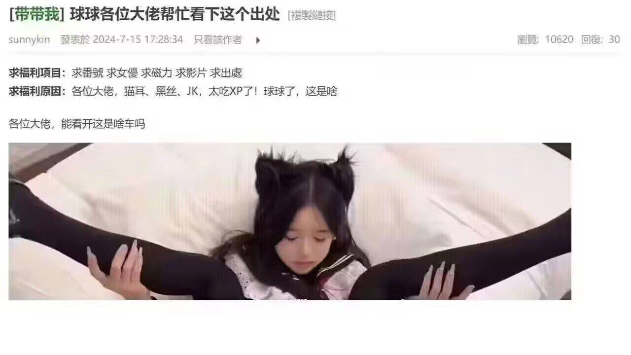 网站