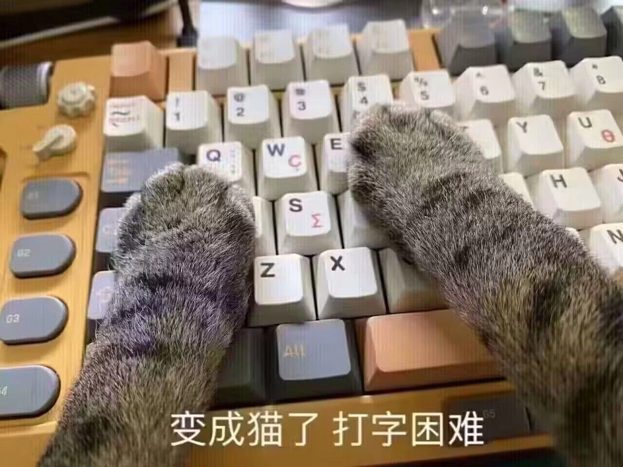 计算机键盘