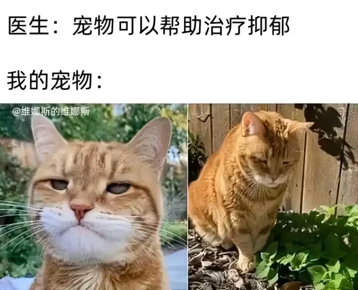 标签