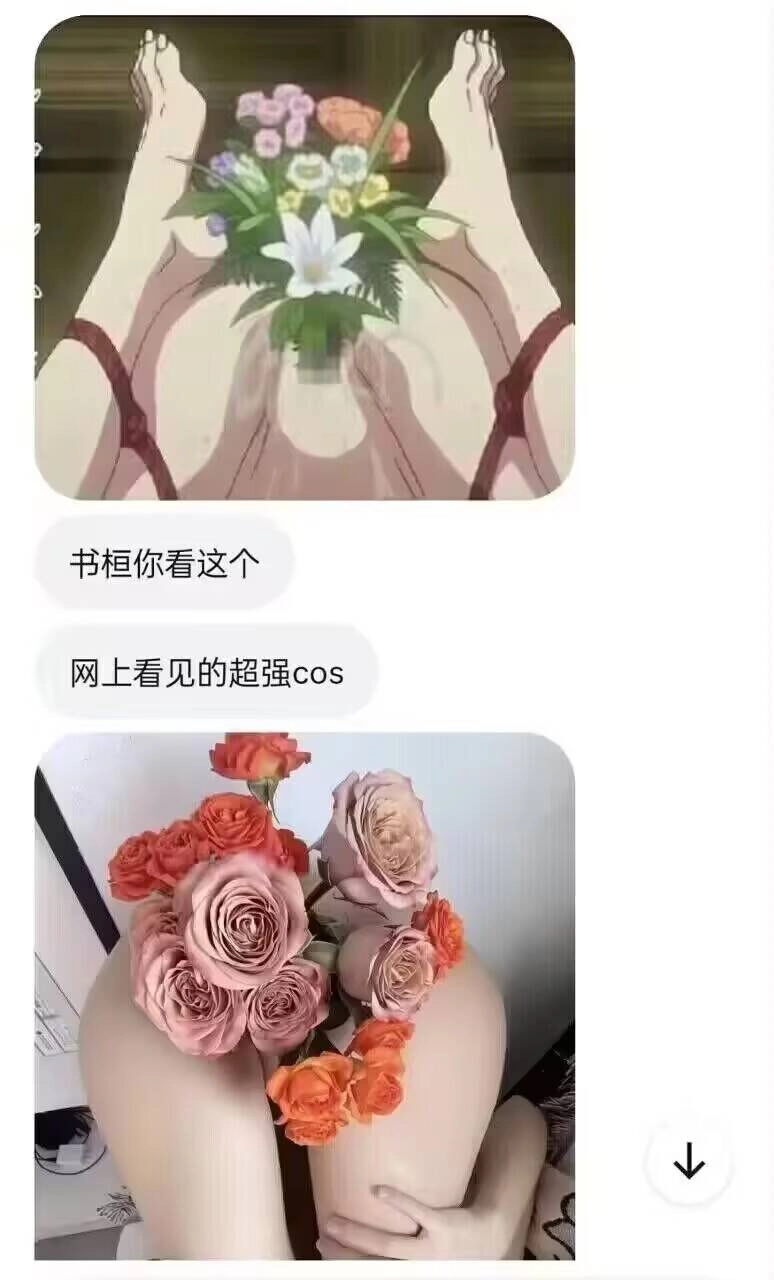 网站