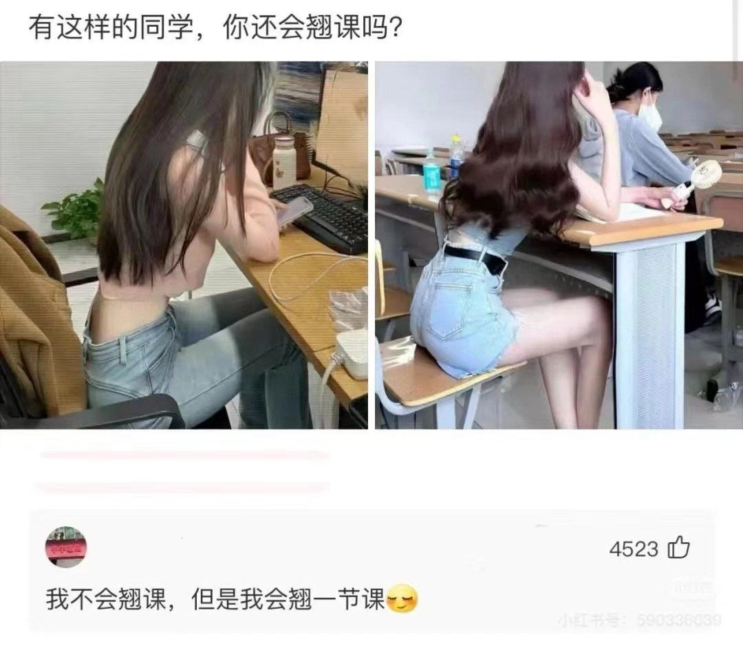 网站