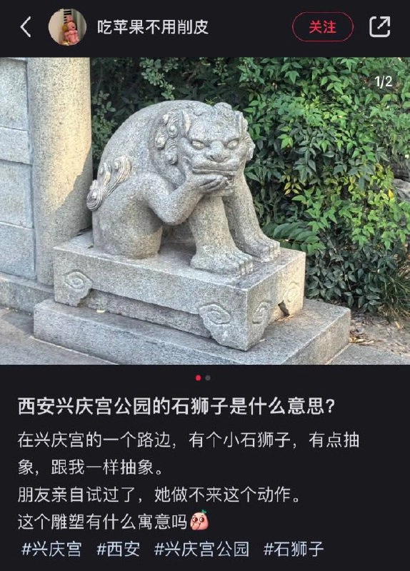 网站