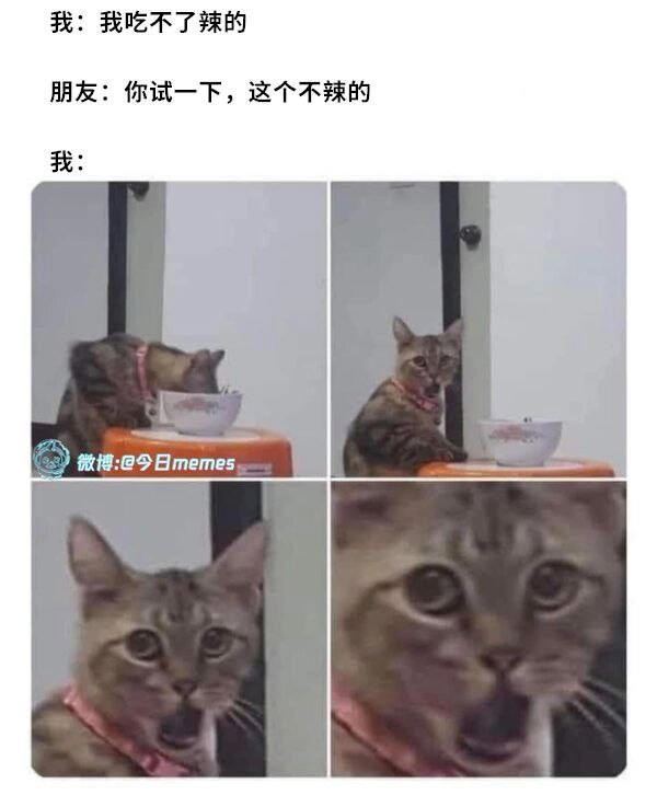 埃及猫