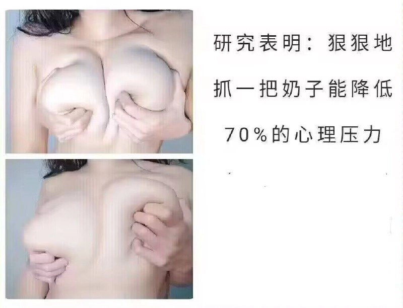 网站