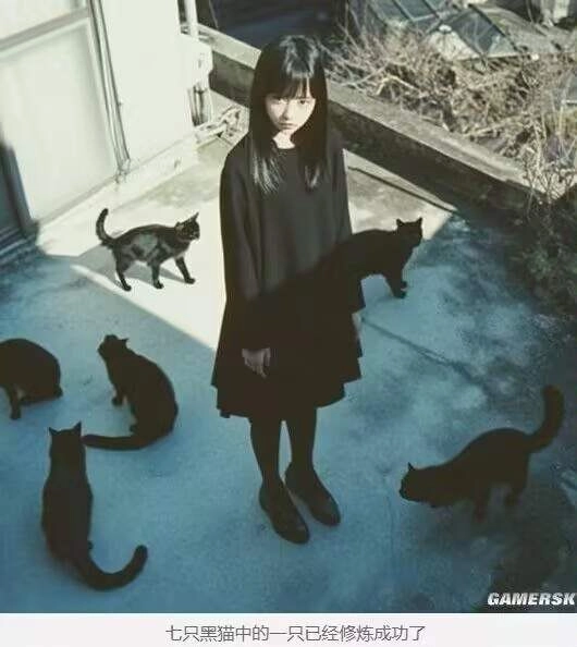女人站在一群猫的面前。