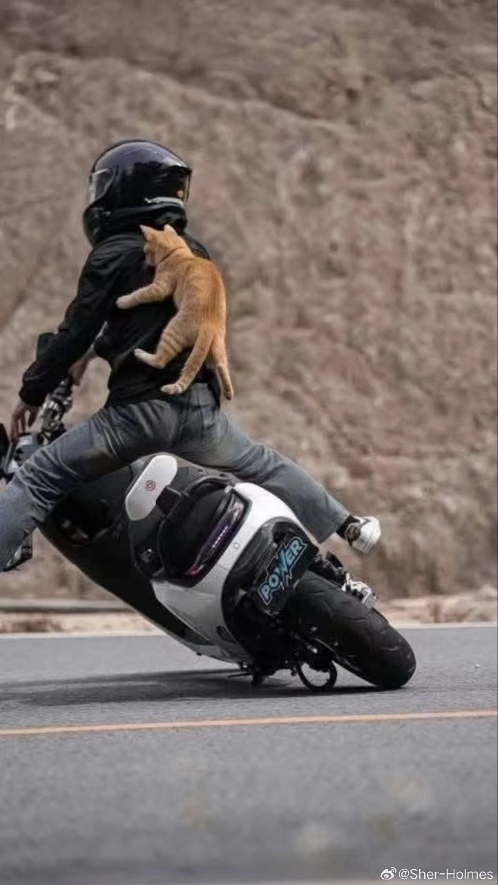 骑摩托车的男人背上有一只猫。