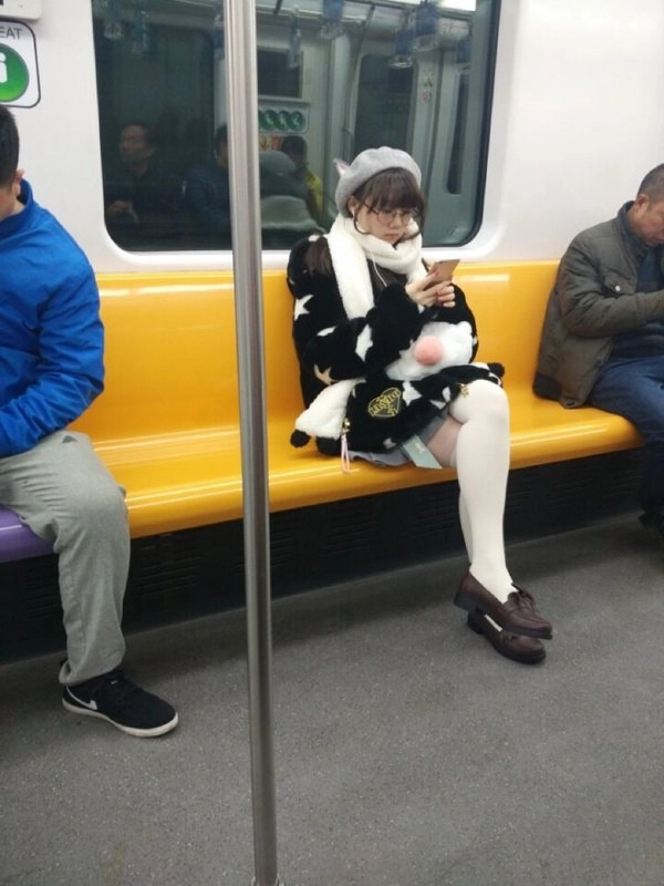 女人坐在一辆火车上,带着一头饱满的奶牛。
