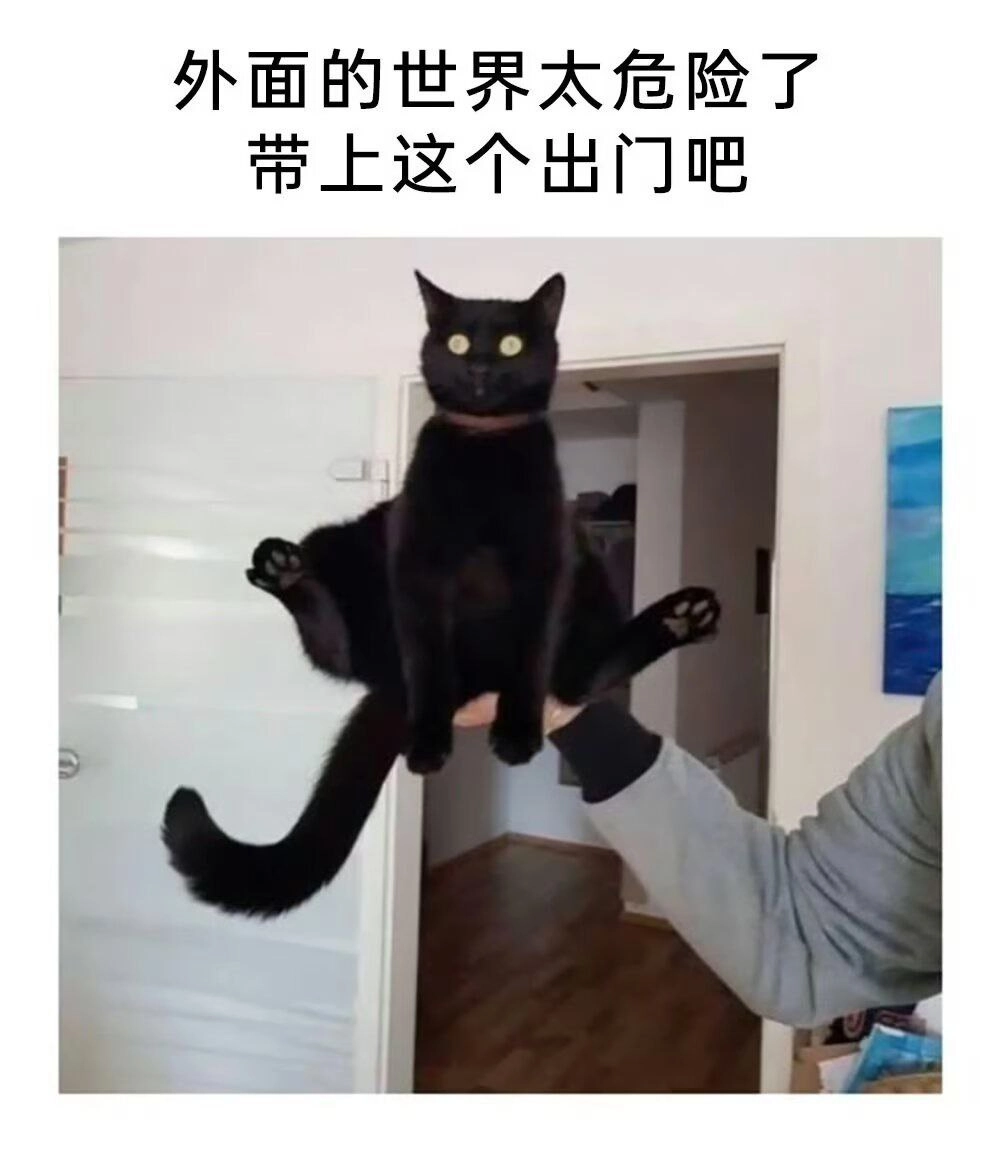 黑猫坐在人的手上。